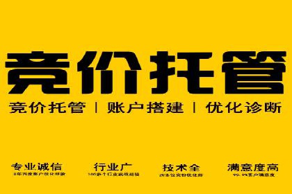 案例剖析：SEM竞价代运营助力品牌崛起